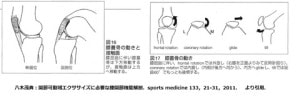 膝蓋骨　動き